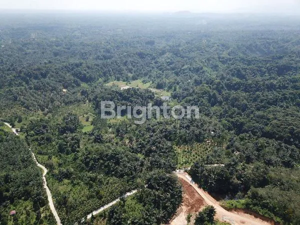 image TANAH LUAS DAERAH SEMBAHE NAMORAMBE (5)