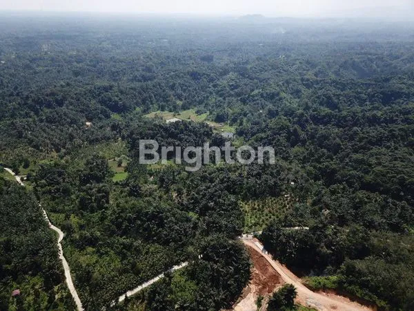 image TANAH LUAS DAERAH SEMBAHE NAMORAMBE (6)