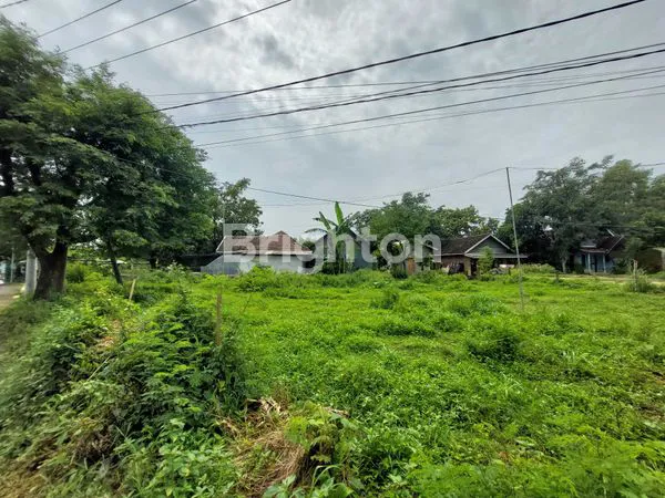 image JUAL TANAH DUSUN SUKOANYAR PURWOSARI (1)