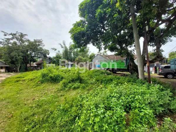 image JUAL TANAH DUSUN SUKOANYAR PURWOSARI (3)