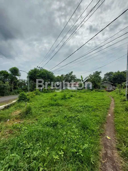 image JUAL TANAH DUSUN SUKOANYAR PURWOSARI (5)