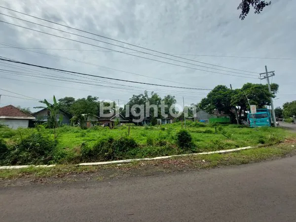 image JUAL TANAH DUSUN SUKOANYAR PURWOSARI (6)