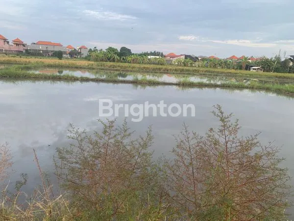 image 14 ARE TANAH SAWAH DI SANUR BISA BELI PER 2 ARE (2)