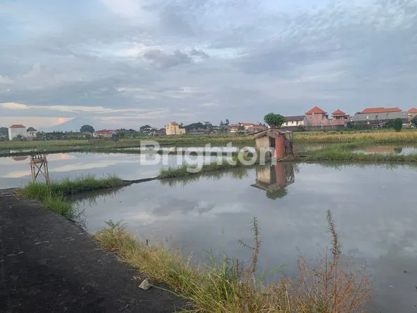 image 14 ARE TANAH SAWAH DI SANUR BISA BELI PER 2 ARE (3)