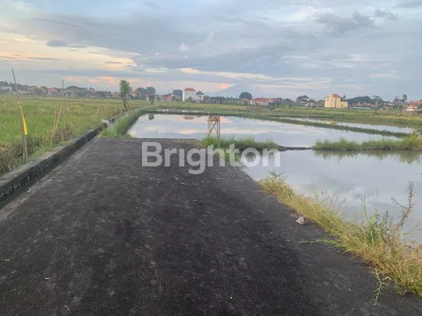 image 14 ARE TANAH SAWAH DI SANUR BISA BELI PER 2 ARE (4)