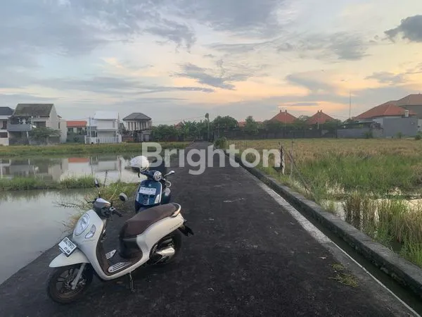 image 14 ARE TANAH SAWAH DI SANUR BISA BELI PER 2 ARE (5)