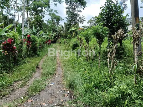image TANAH TEGALAN DI KAWASAN VILLA SELUAS 1,64 HEKTAR VIEW PERSAWAHAN & HUTAN LEMBAH (2)