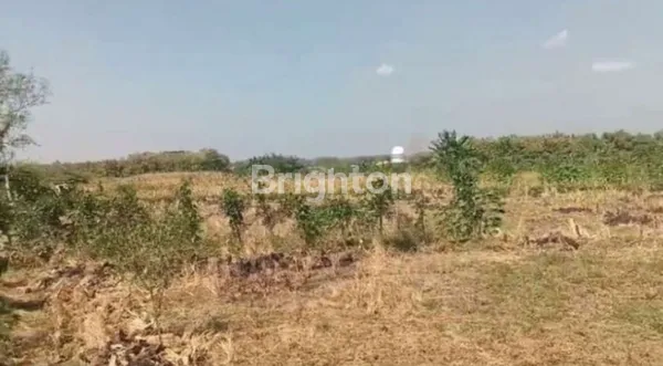 image LAHAN INDUSTRI RAYA BABAT JOMBANG, DAERAH STRATEGIS BANYAK INDUSTRI (2)