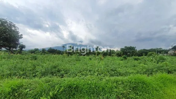 image INVESTASI TANAH STRATEGIS TULAMBEN, KARANGASEM - 2,2 HA SIAP RESORT (5)