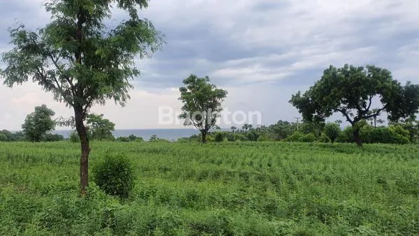 image INVESTASI TANAH STRATEGIS TULAMBEN, KARANGASEM - 2,2 HA SIAP RESORT (3)
