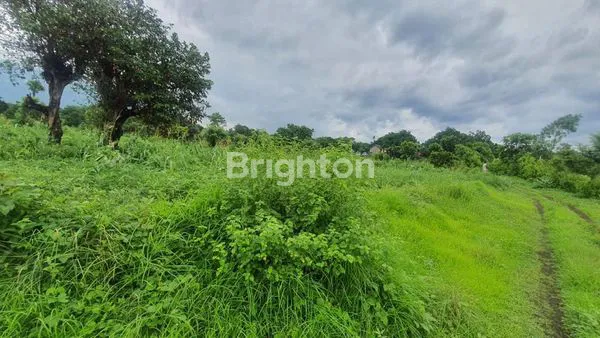image INVESTASI TANAH STRATEGIS TULAMBEN, KARANGASEM - 2,2 HA SIAP RESORT (4)