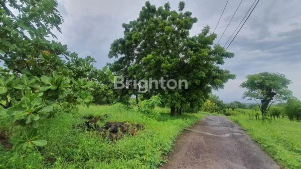 image INVESTASI TANAH STRATEGIS TULAMBEN, KARANGASEM - 2,2 HA SIAP RESORT (7)