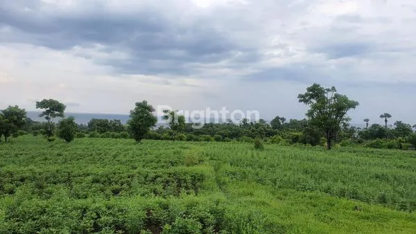 image INVESTASI TANAH STRATEGIS TULAMBEN, KARANGASEM - 2,2 HA SIAP RESORT (8)