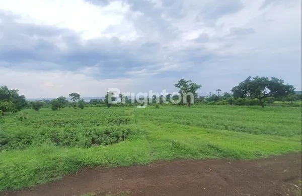 image INVESTASI TANAH STRATEGIS TULAMBEN, KARANGASEM - 2,2 HA SIAP RESORT (2)