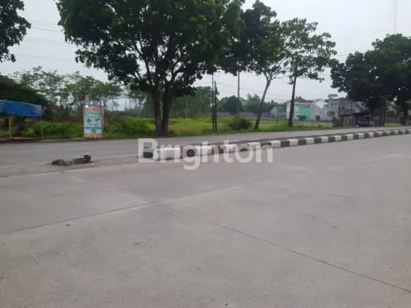 TANAH JL PANTURA KENDAL JAWA TENGAH