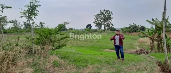 image TANAH JL PANTURA KENDAL JAWA TENGAH (3)