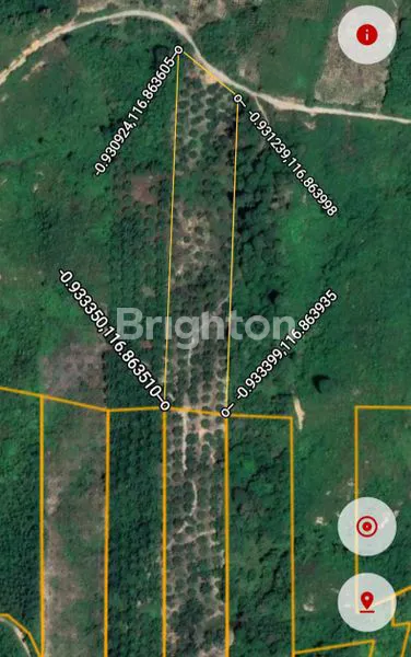 DIJUAL MURAH LAHAN 1 HEKTAR DI ARGO MULYO SEPAKU PENAJAM PASER UTARA IKN