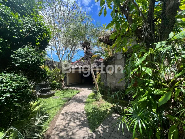 TANAH AREA UMALAS  CANGGU BADUNG ZONA PINK LOKASI STRATEGIS