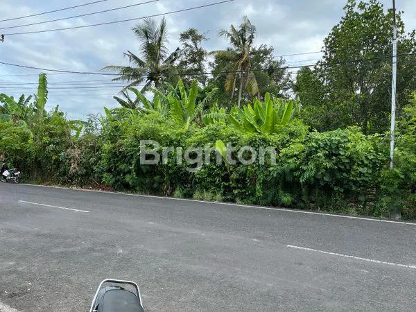 image LOKASI SANGAT LANGKA DI DESA PANGKUNGTIBAH, KEDIRI TABANAN (2)
