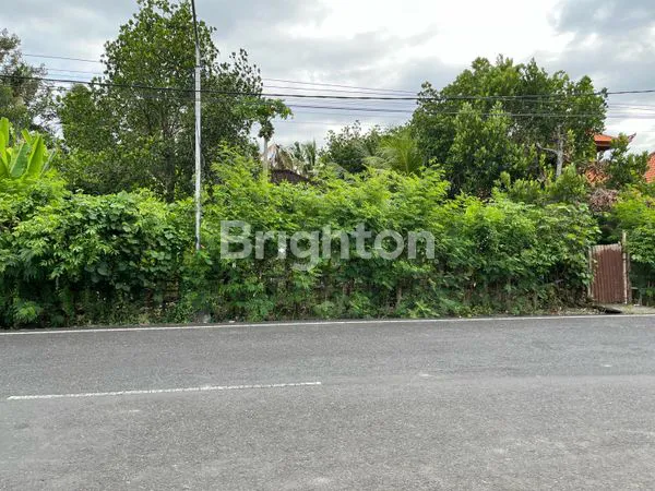 image LOKASI SANGAT LANGKA DI DESA PANGKUNGTIBAH, KEDIRI TABANAN (3)