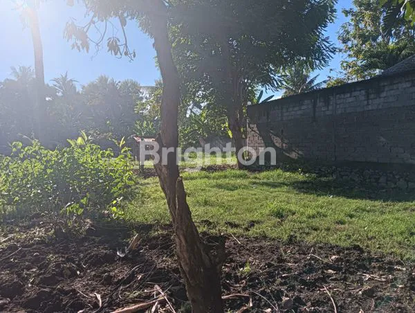 image TANAH KOSONG LOVINA PLOT KECIL (2)