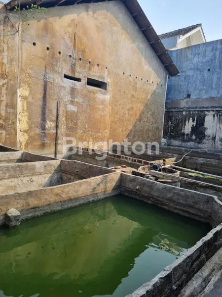 image RUMAH BURUNG BERSAMA ASETNYA (1)