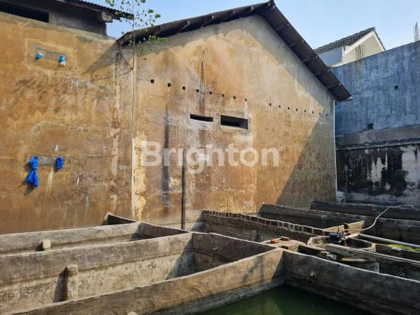 image RUMAH BURUNG BERSAMA ASETNYA (2)