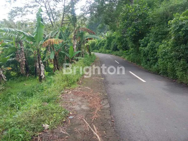 image TANAH 2 ARE BATURITI DEKAT PASAR SAYUR (2)