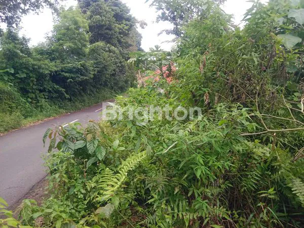 image TANAH 2 ARE BATURITI DEKAT PASAR SAYUR (3)