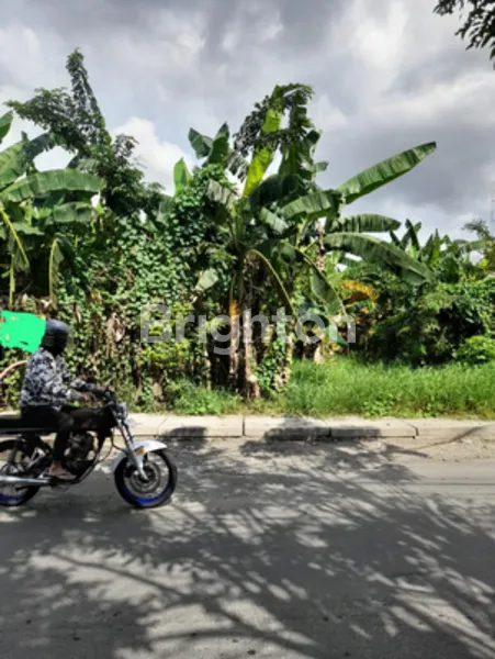 image DIJUAL TANAH KOSONG PREMIUM SBY BARAT NOL JL RAYA JELIDRO (1)