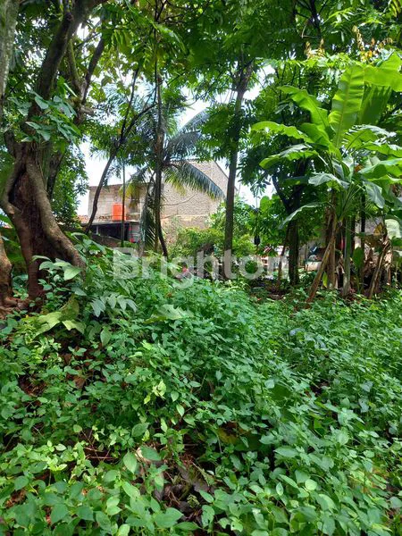 image TANAH UNTUK USAHA (6)