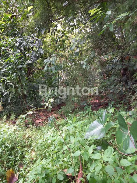 image TANAH UNTUK USAHA (3)