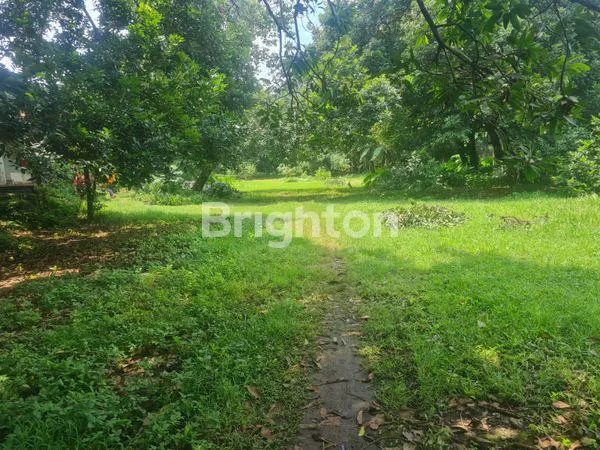 image TANAH DIJUAL JALAN UTAMA ALTERNATIF CIBUBUR TRANSYOGI (6)