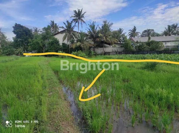 image TANAH SAWAH DI WONOLELO MUNTILAN (3)