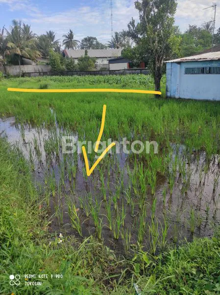 image TANAH SAWAH DI WONOLELO MUNTILAN (4)