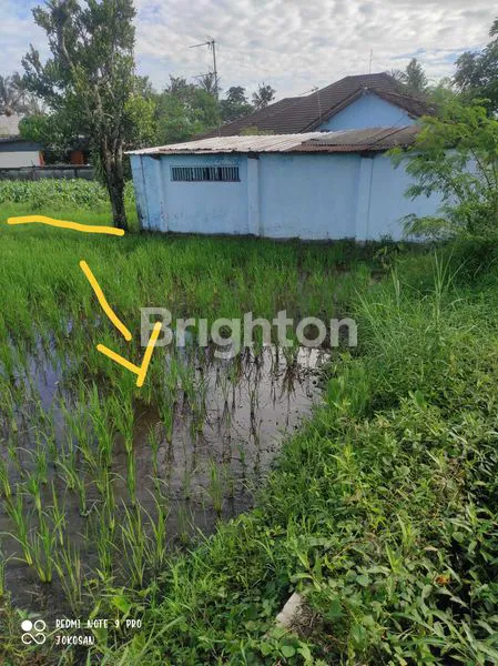 image TANAH SAWAH DI WONOLELO MUNTILAN (5)