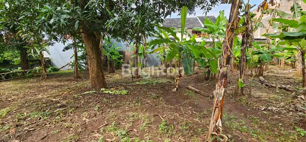 image TANAH SIAP BANGUN UNTUK INVESTASI DI LOKASI KOS2 AN DEKAT UNDIP TEMBALANG (2)