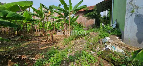 image TANAH SIAP BANGUN UNTUK INVESTASI DI LOKASI KOS2 AN DEKAT UNDIP TEMBALANG (4)