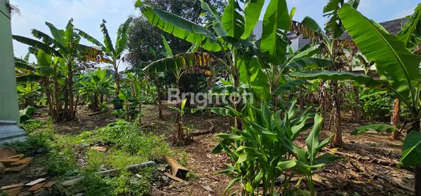 image TANAH SIAP BANGUN UNTUK INVESTASI DI LOKASI KOS2 AN DEKAT UNDIP TEMBALANG (6)