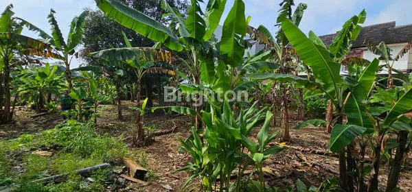 image TANAH SIAP BANGUN UNTUK INVESTASI DI LOKASI KOS2 AN DEKAT UNDIP TEMBALANG (5)