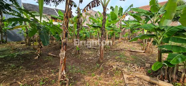 image TANAH SIAP BANGUN UNTUK INVESTASI DI LOKASI KOS2 AN DEKAT UNDIP TEMBALANG (3)