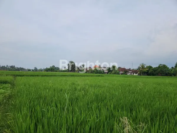 image JUAL TANAH GLOBAL  (3)