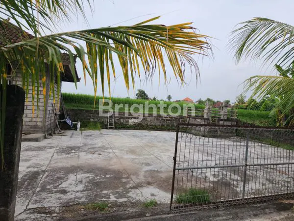 image JUAL TANAH GLOBAL  (5)