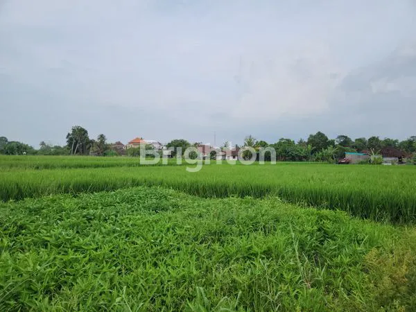 image JUAL TANAH GLOBAL  (1)