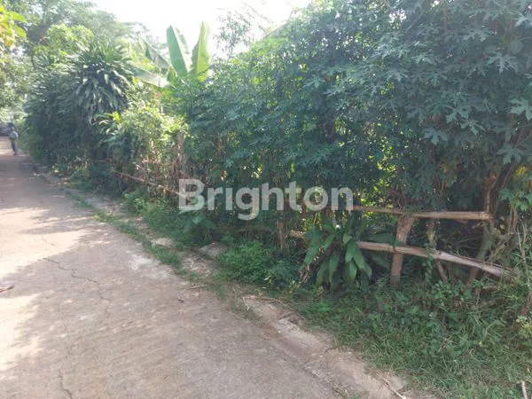 image DIJUAL TANAH INDUSTRI DI KLAPA NUNGGAL, BOGOR (2)