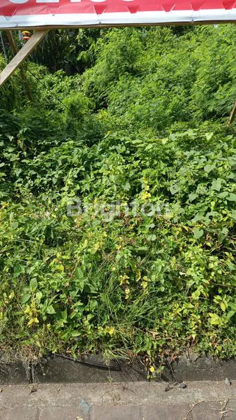 image TANAH PINGGIR BY PASS JIMBARAN 11 ARE (2)