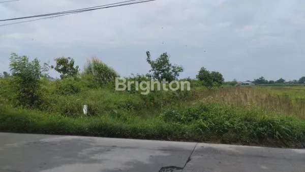 image TANAH KERING JL ADISUMARMO SAMPING PINTU TOLL KLODRAN (3)