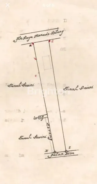 image TANAH SELUAS 1374 M2 DI PINGGIR JALAN UTAMA MANADO-BITUNG DI DESA WATUDAMBO, KEC. KAUDITAN, MINAHASA UTARA, SULAWESI UTARA (5)