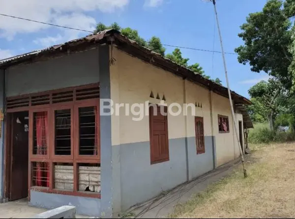 image TANAH SELUAS 1374 M2 DI PINGGIR JALAN UTAMA MANADO-BITUNG DI DESA WATUDAMBO, KEC. KAUDITAN, MINAHASA UTARA, SULAWESI UTARA (3)