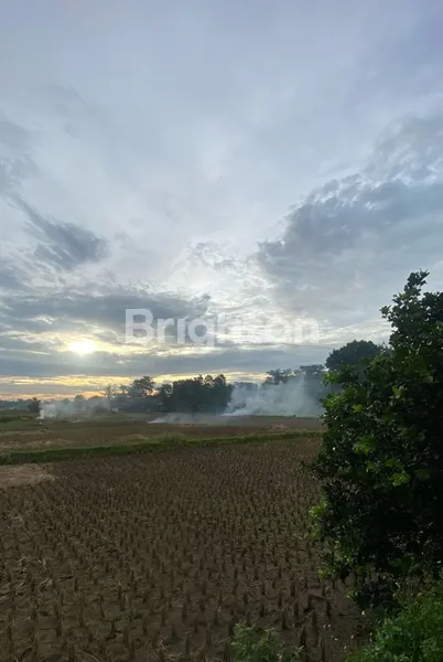 image TANAH SIAP PAKAI LEGOK BABAT DEKAT PARAMOUNT SUMMARECON SERPONG TANGERANG SHM MURAH (3)